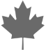 maple leaf icon